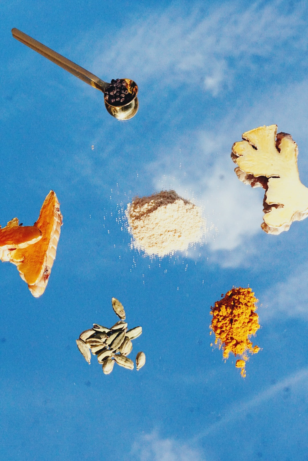 A Naturopath's Guide to Adaptogens