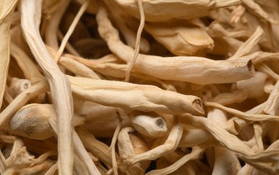 Herbal Sleep Blend