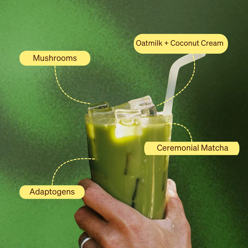 Matcha Starter Set