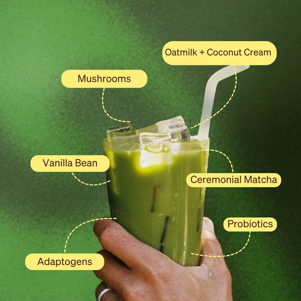 Honey Vanilla Matcha SuperLatte