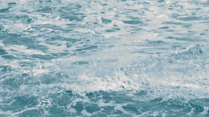 vimeo-882838136